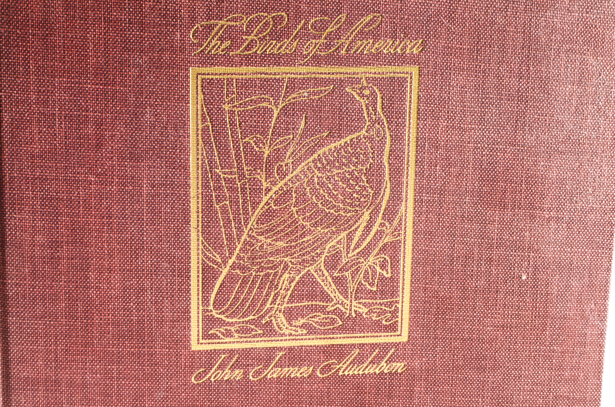 John James Audubon "The Birds of America" Signed by Aloyisus Audubon