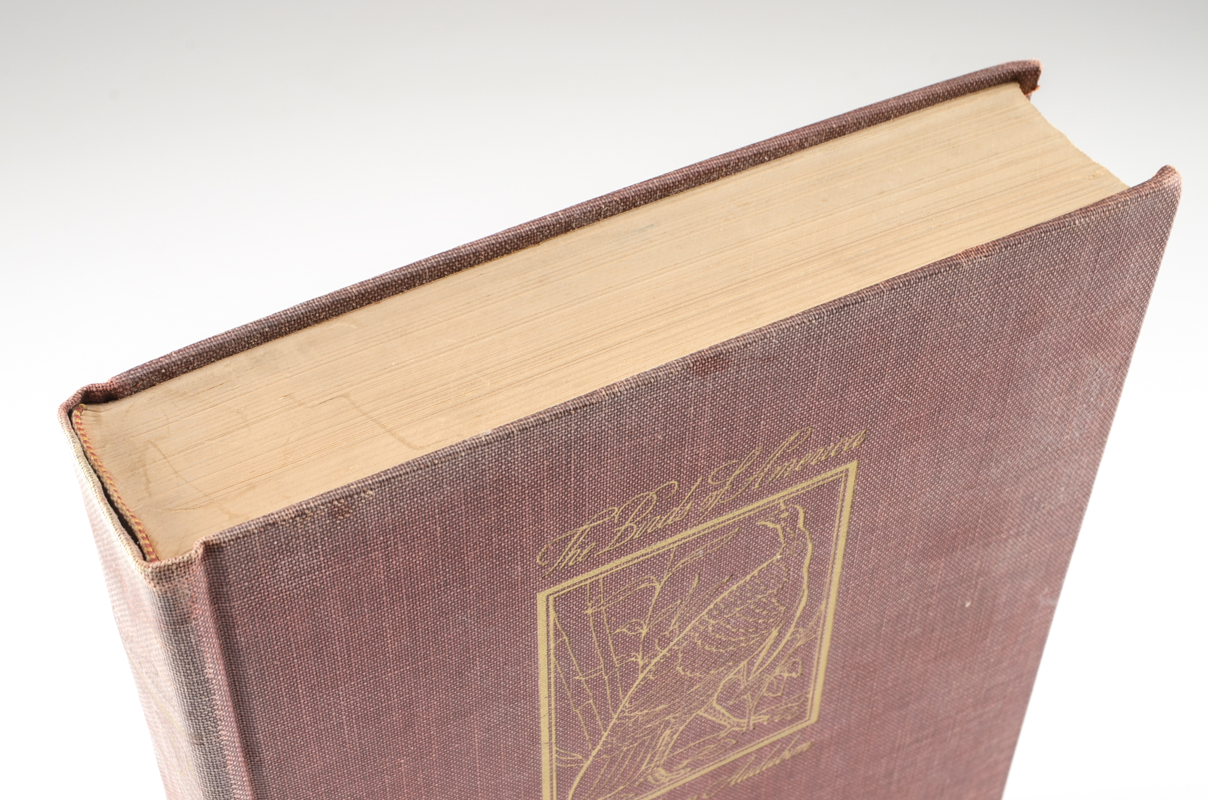 John James Audubon "The Birds of America" Signed by Aloyisus Audubon