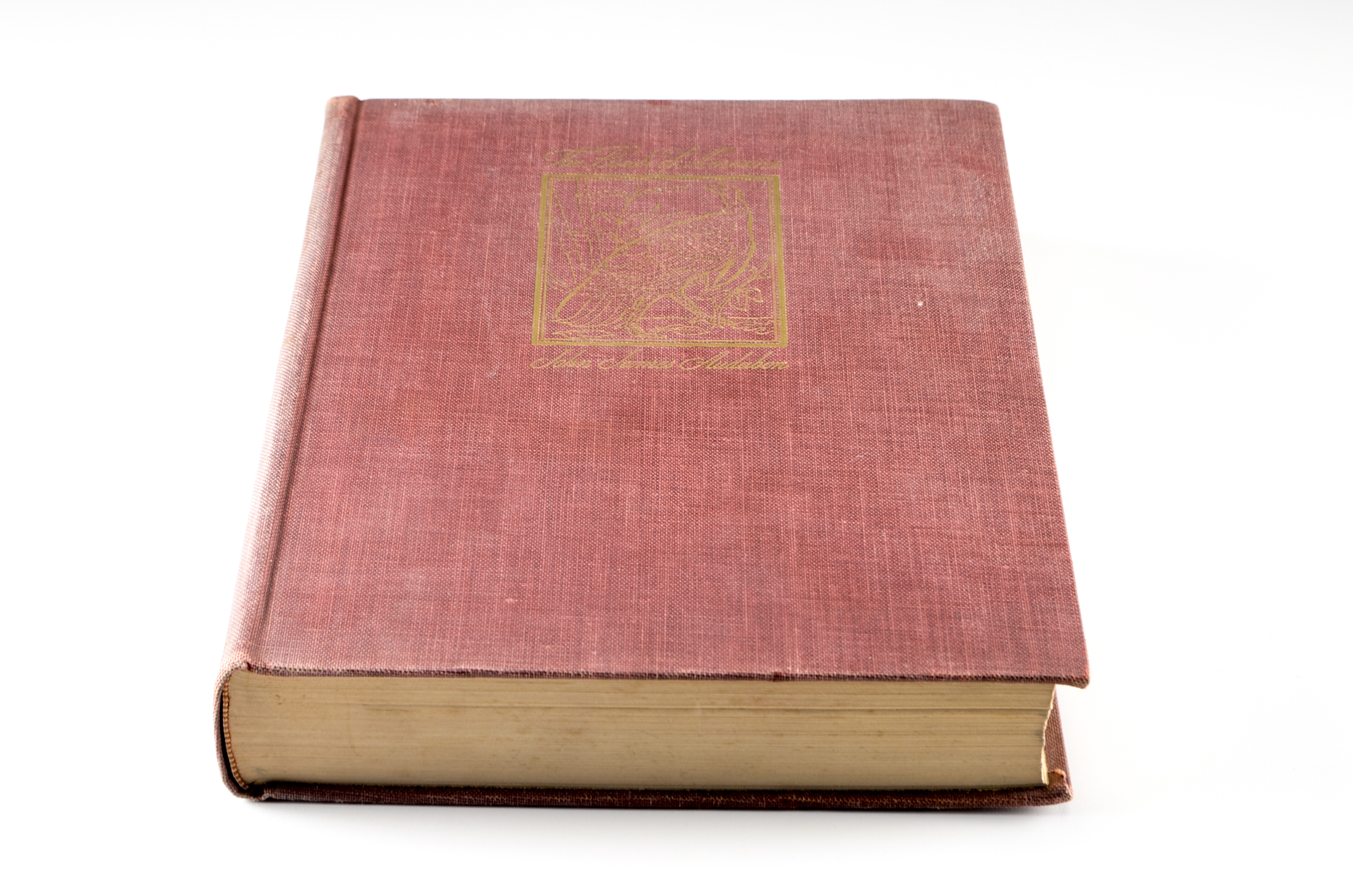 John James Audubon "The Birds of America" Signed by Aloyisus Audubon