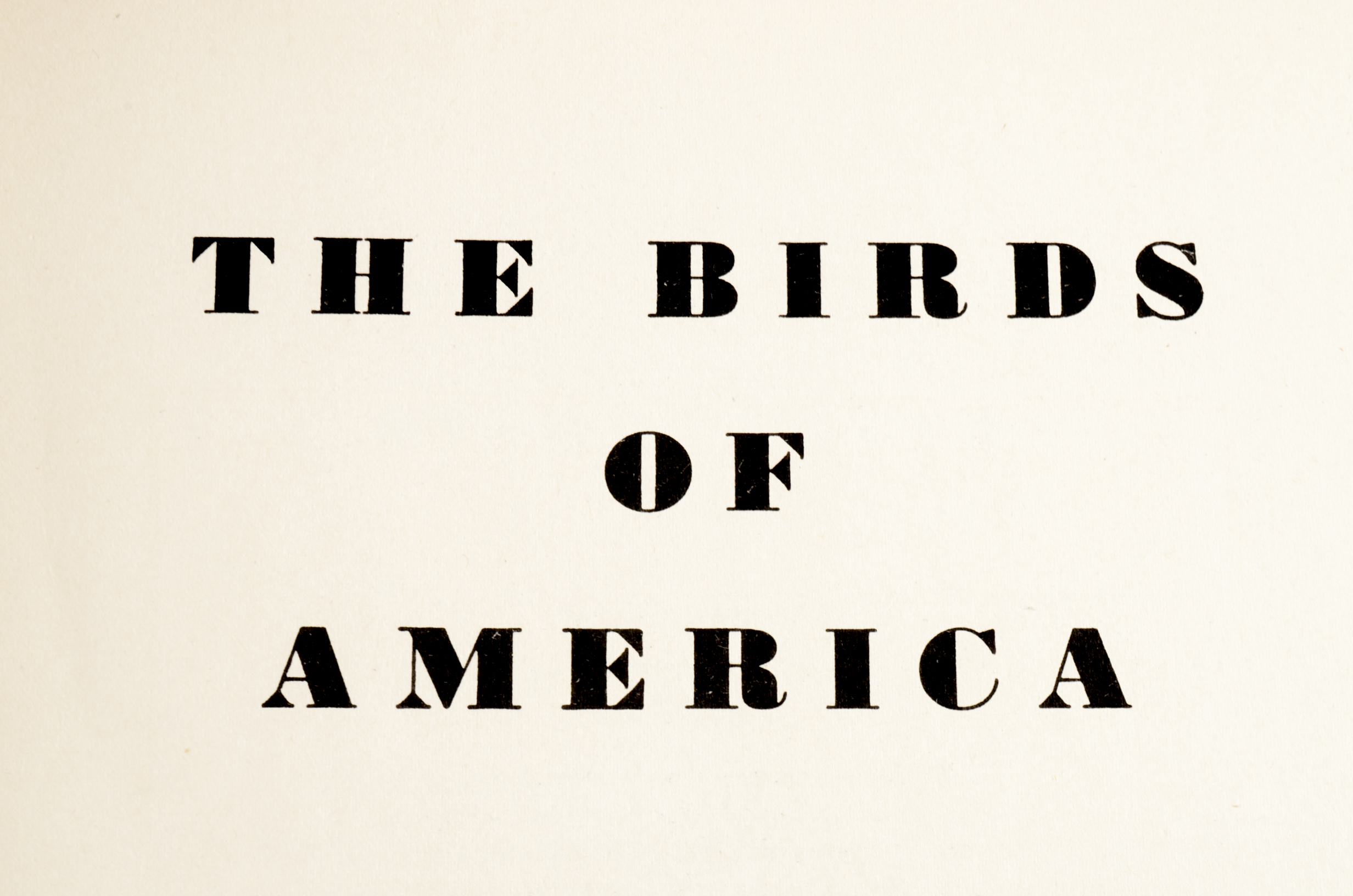 John James Audubon "The Birds of America" Signed by Aloyisus Audubon