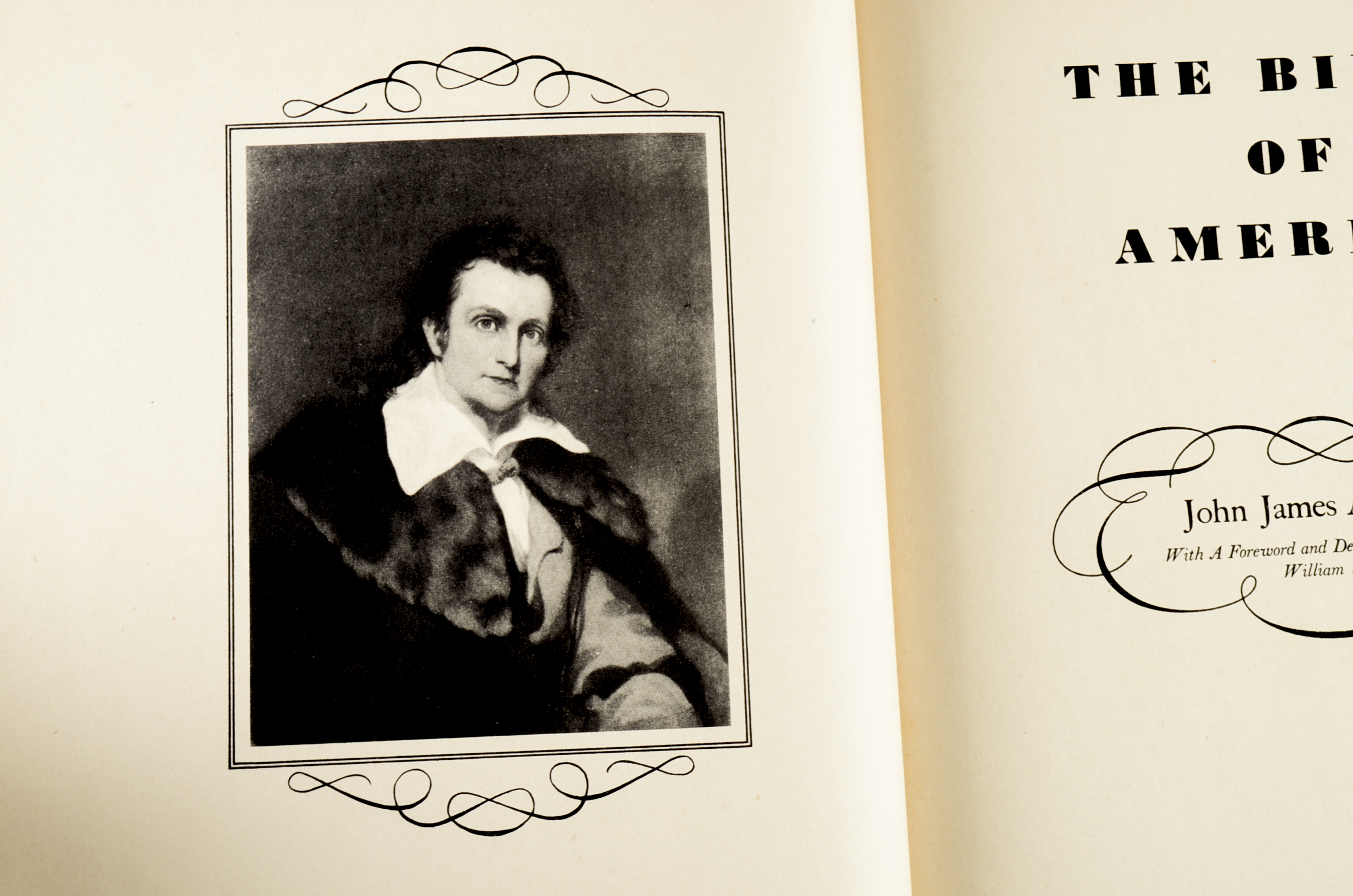 John James Audubon "The Birds of America" Signed by Aloyisus Audubon