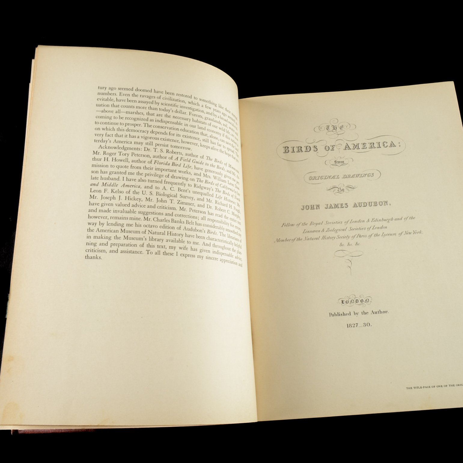 John James Audubon "The Birds of America" Signed by Aloyisus Audubon