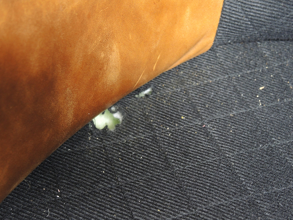 Leather Chair and Ottoman