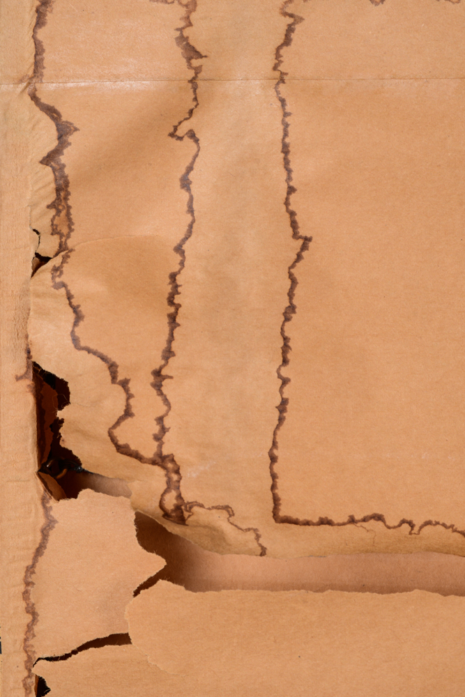 Peter Zonis Oil Pastel on Board