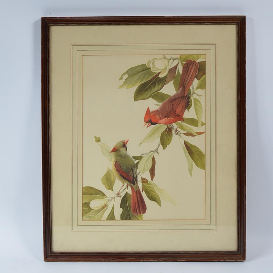 "Magnolia Time" Lithograph After Roger Tory Peterson