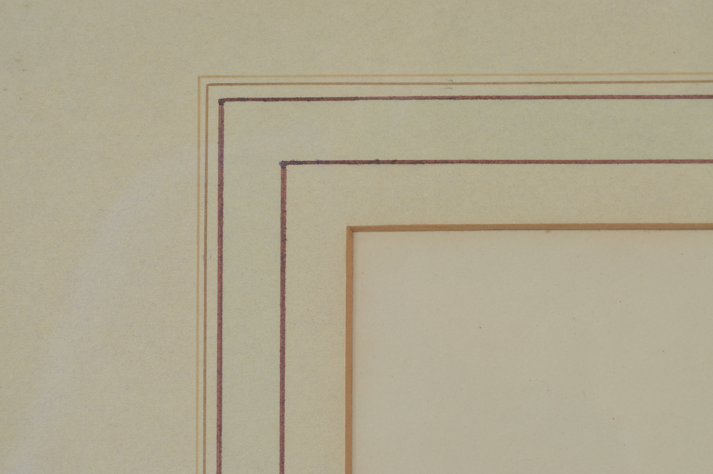 "Magnolia Time" Lithograph After Roger Tory Peterson