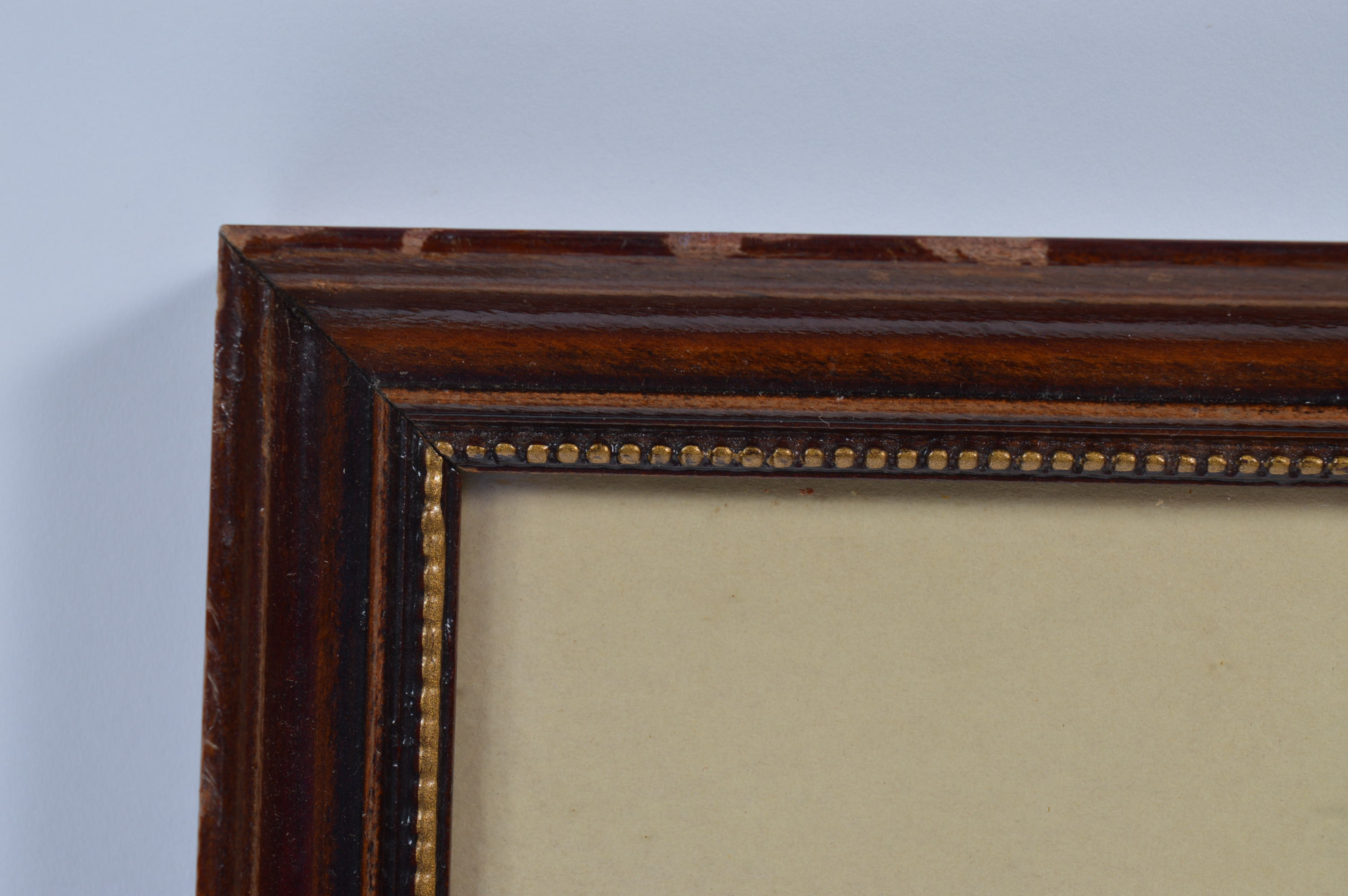 "Magnolia Time" Lithograph After Roger Tory Peterson