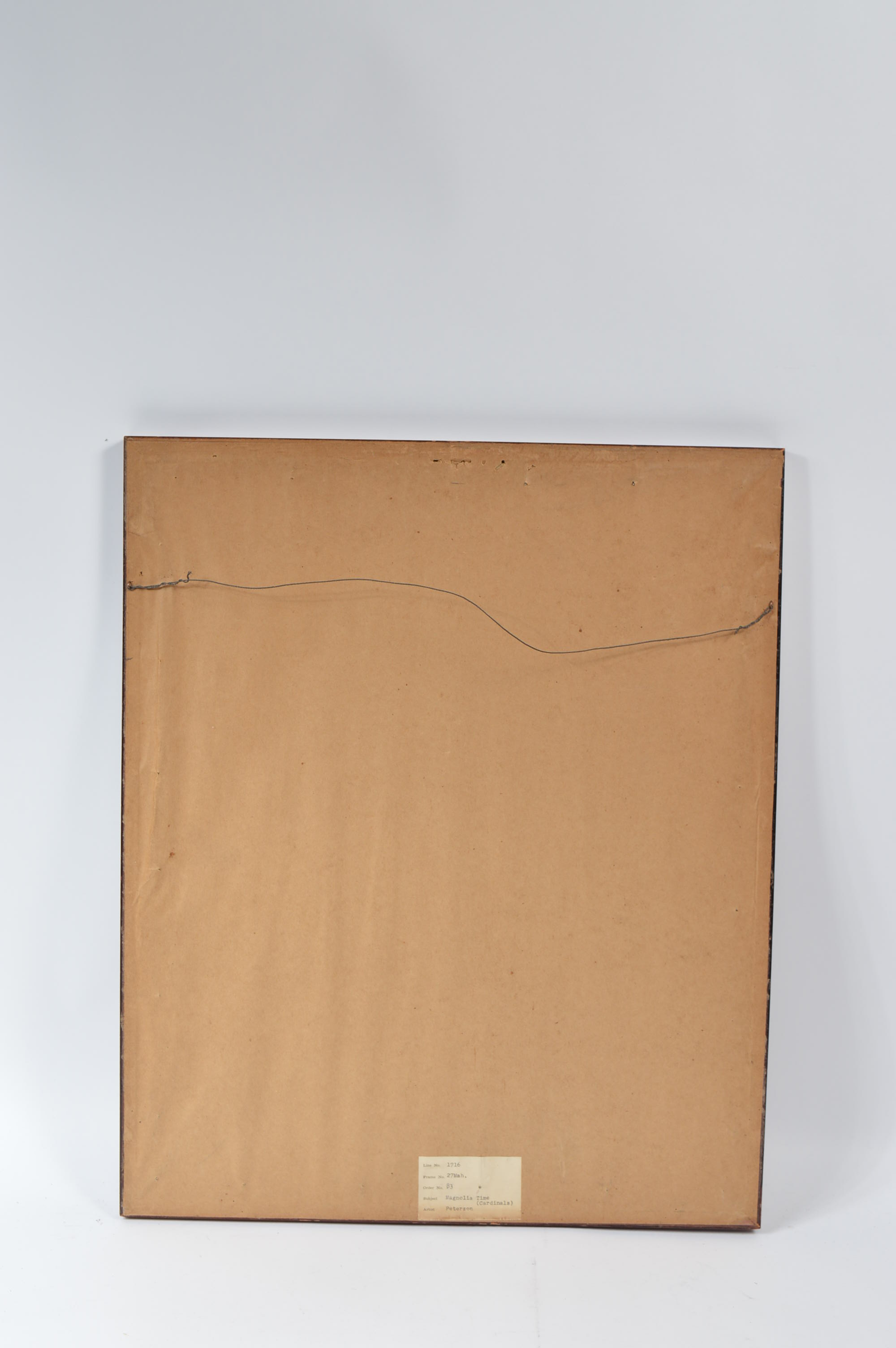 "Magnolia Time" Lithograph After Roger Tory Peterson