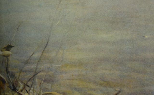 Paul Chabas Offset Lithograph "September Morn"