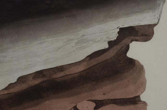 John J. Audubon Hand Colored Aquatint With Engraving