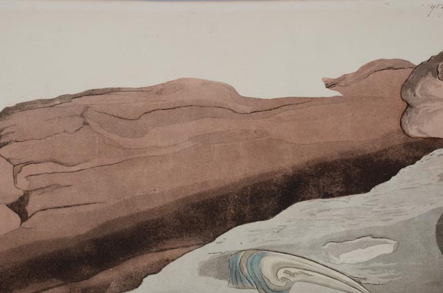 John J. Audubon Hand Colored Aquatint With Engraving