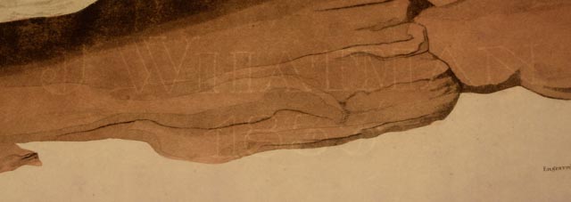 John J. Audubon Hand Colored Aquatint With Engraving