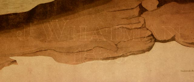 John J. Audubon Hand Colored Aquatint With Engraving