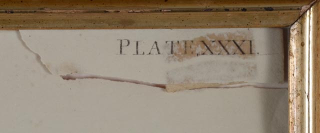 John J. Audubon Hand Colored Aquatint With Engraving