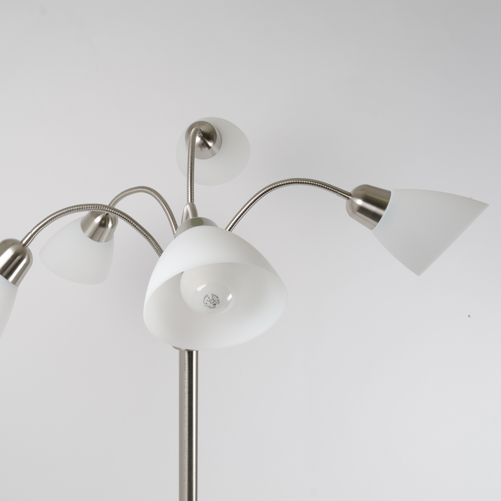 Five Way Adjustable Floor Lamp