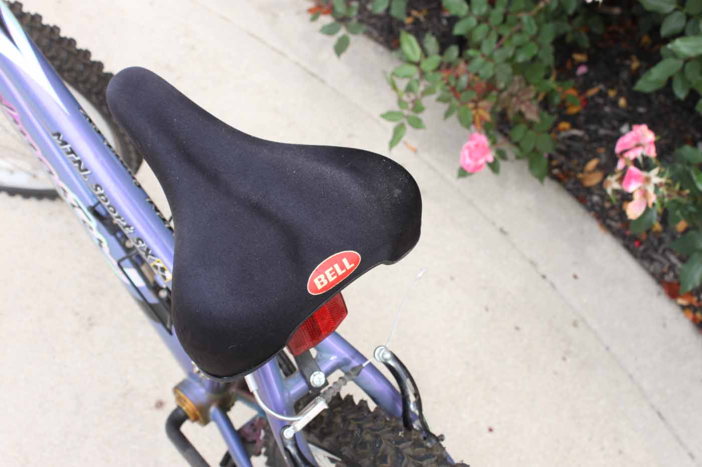 Women's Roadmaster Bicycle