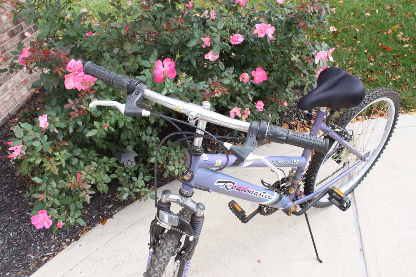 Women's Roadmaster Bicycle