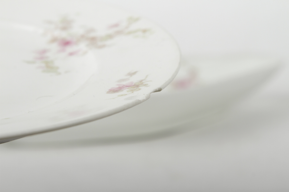 Collection of Limoges Plates