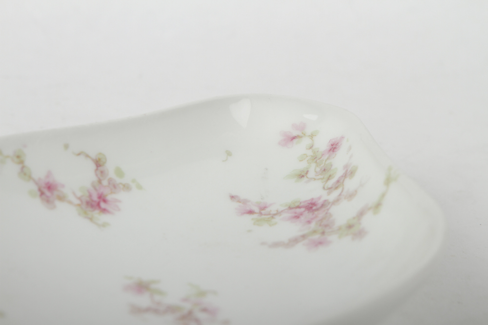 Collection of Limoges Plates