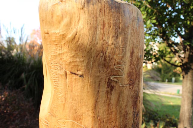 Large Jen Eastridge Award Winning  Wood Sculpture