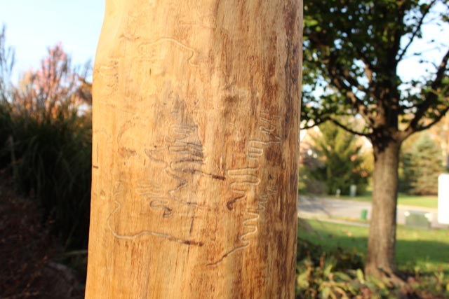 Large Jen Eastridge Award Winning  Wood Sculpture