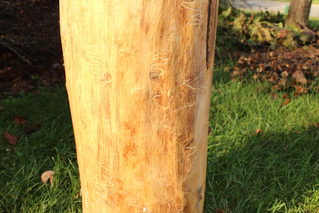 Large Jen Eastridge Award Winning  Wood Sculpture