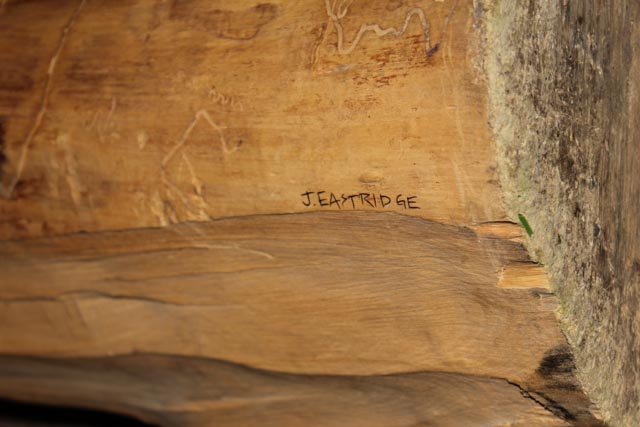 Large Jen Eastridge Award Winning  Wood Sculpture