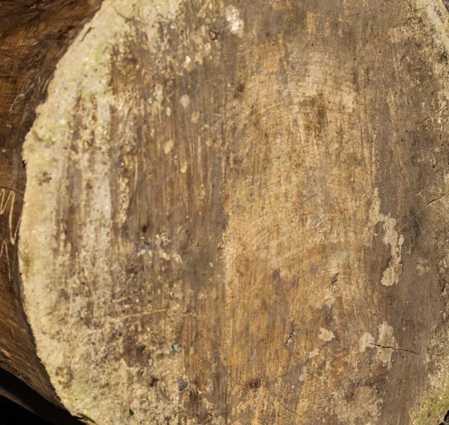 Large Jen Eastridge Award Winning  Wood Sculpture