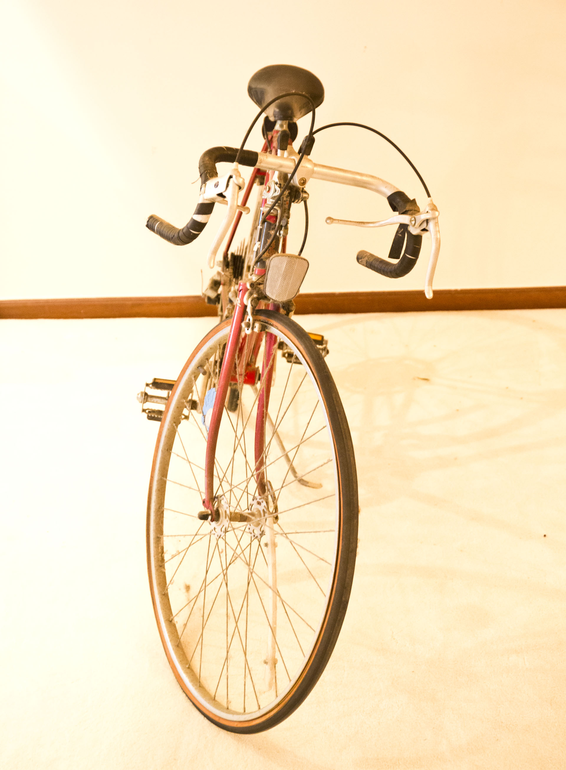 1979 Raleigh "Record Ace" Road Bike