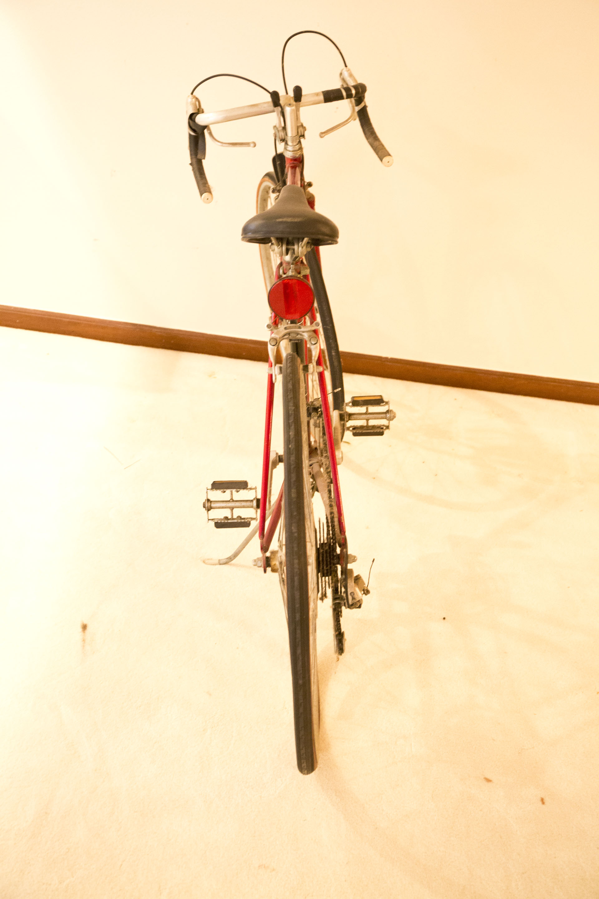 1979 Raleigh "Record Ace" Road Bike