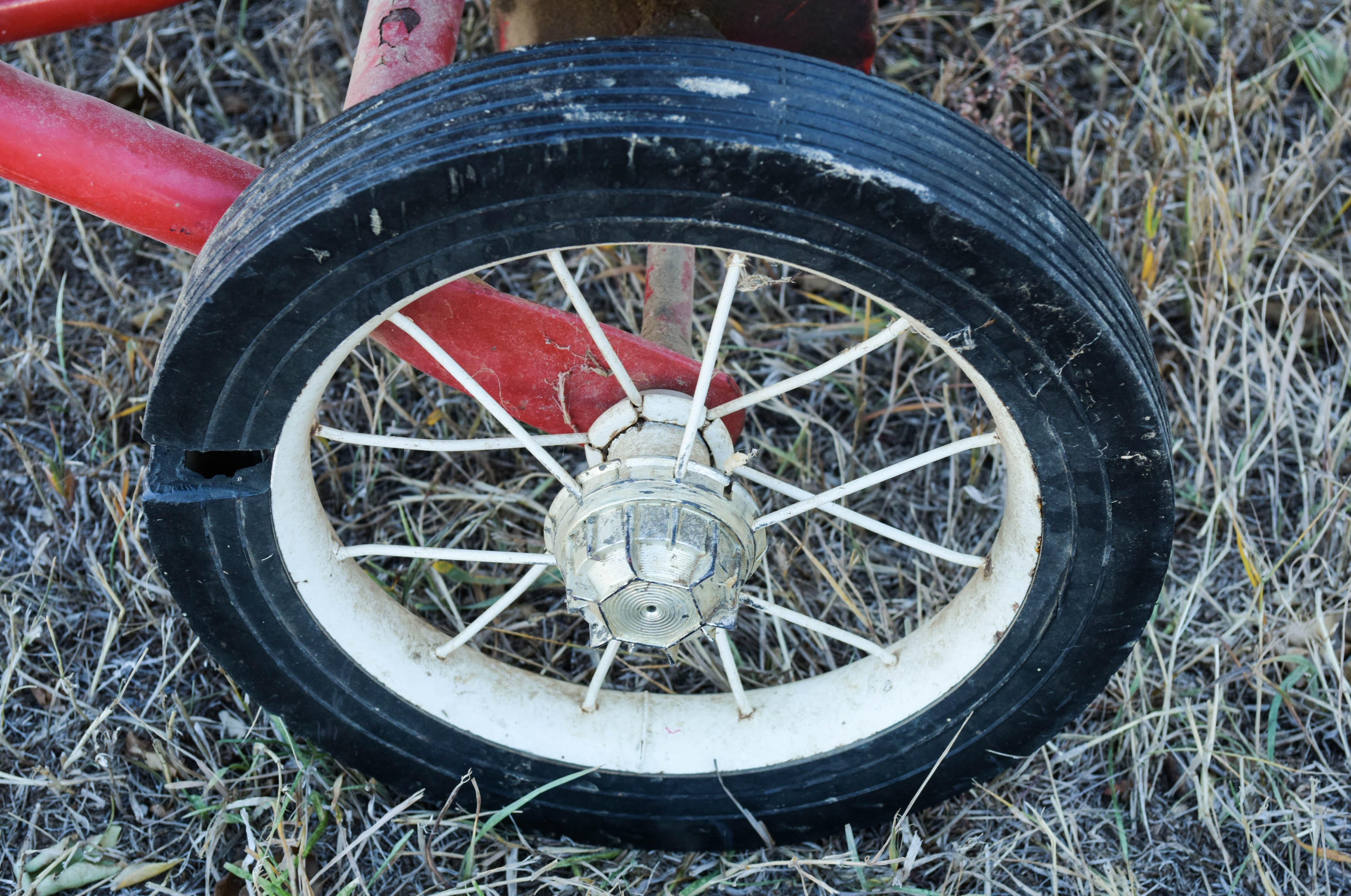 Seed Spreader by The Cyclone Seeder Co.