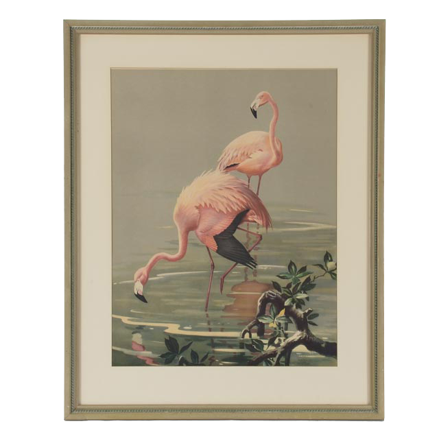 Roger Tory Peterson Offset Lithograph "Flamingos"