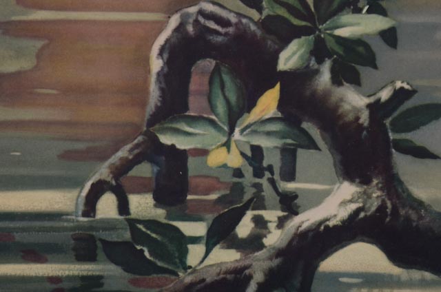 Roger Tory Peterson Offset Lithograph "Flamingos"