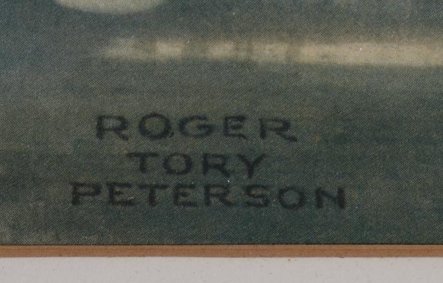 Roger Tory Peterson Offset Lithograph "Flamingos"