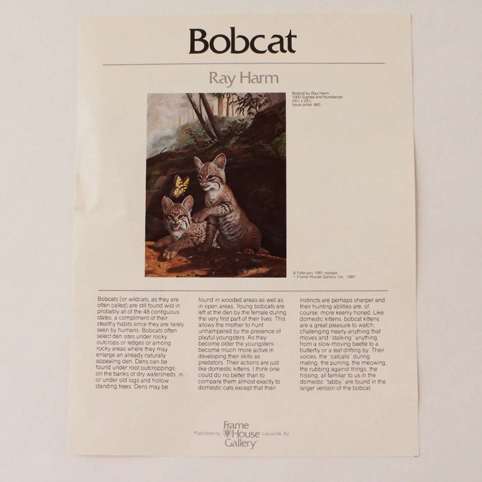 Ray Harm Signed, Limited Edition "Bobcat" Print