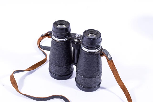 Vintage Vicki Binoculars