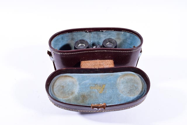 Vintage Vicki Binoculars