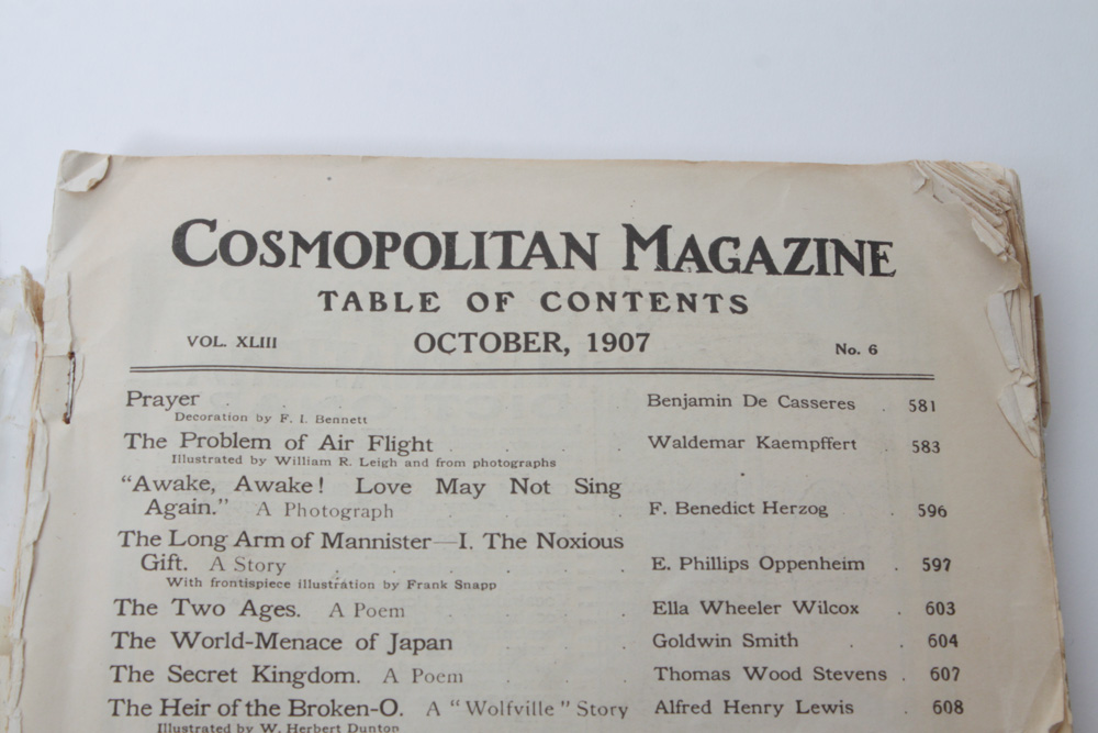 Bound "Demorest" Magazine Annual and Antique "Cosmopolitan" Magazine