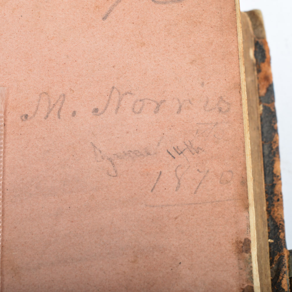 Collection of Antique Bibles