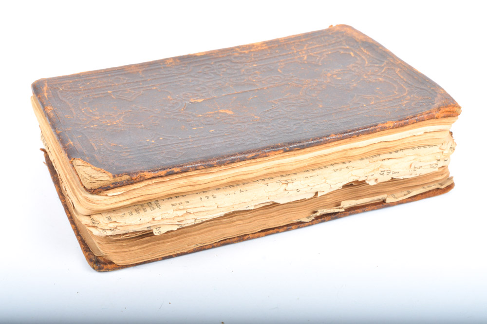 Collection of Antique Bibles