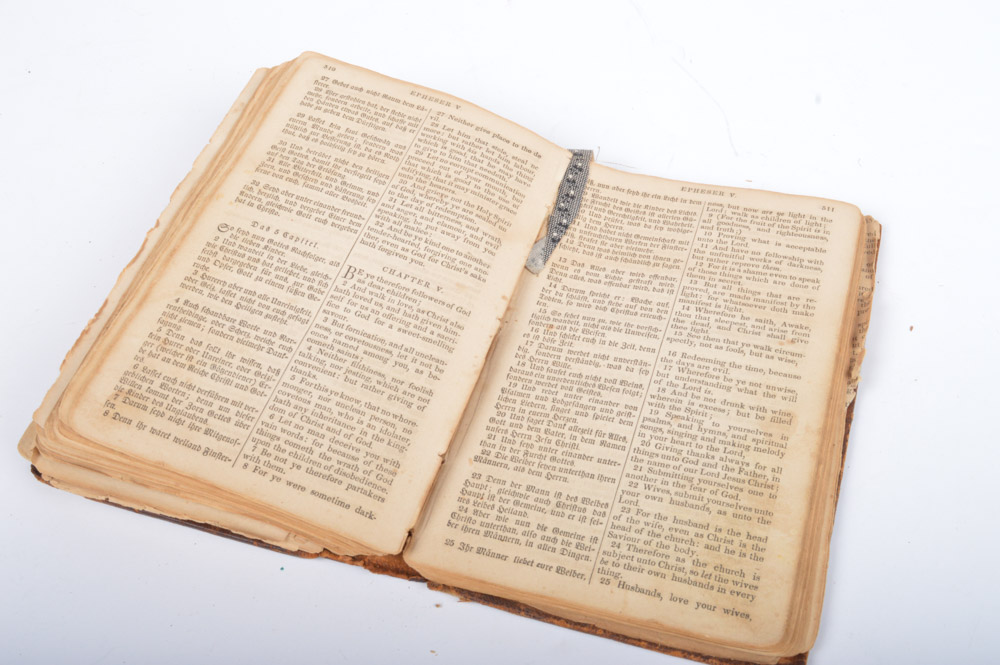 Collection of Antique Bibles