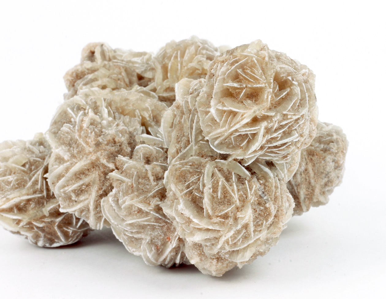 Gypsum Rosette
