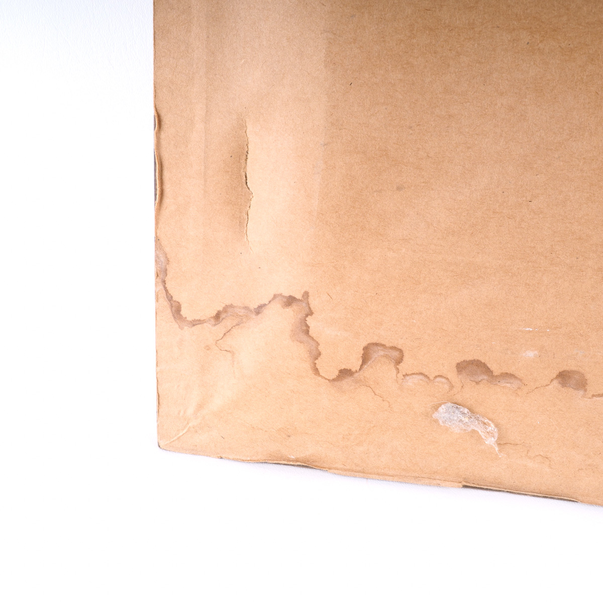 Framed Clown  Oil Portrait on The Wall Street Journal  by John Bernard Alwes