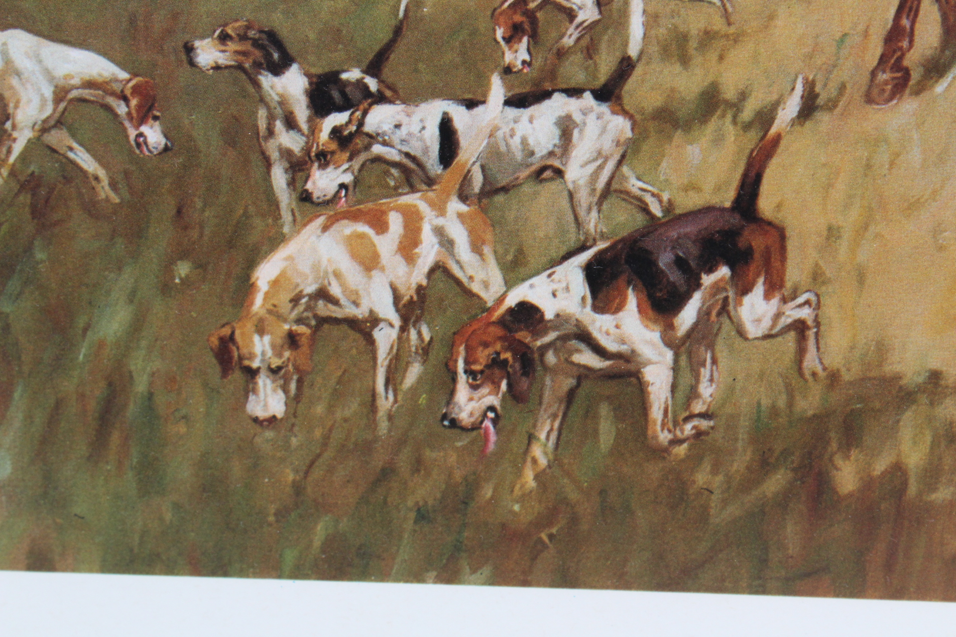 John King Signed Equestrian Offset Lithographs