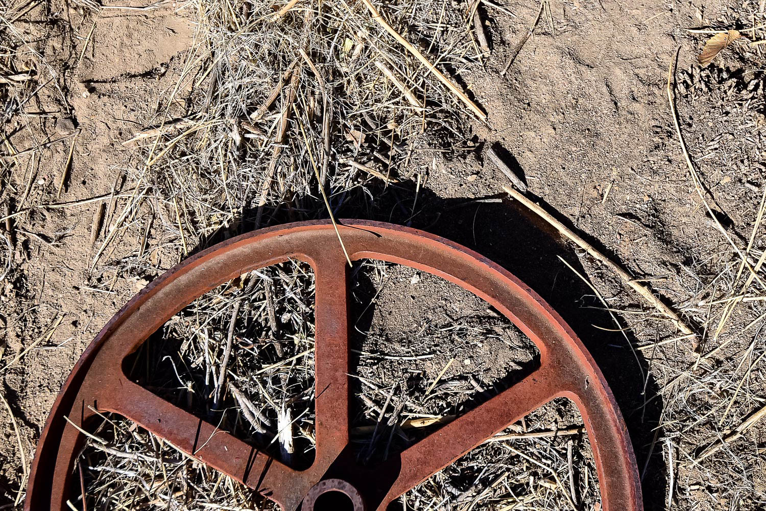 Antique Pulley Wheel