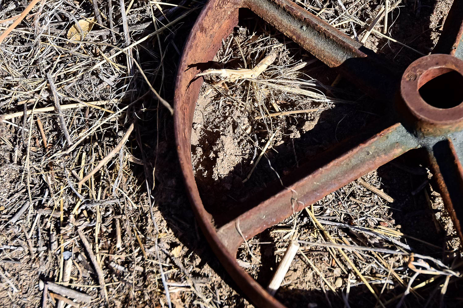 Antique Cast Iron Pulley Wheel