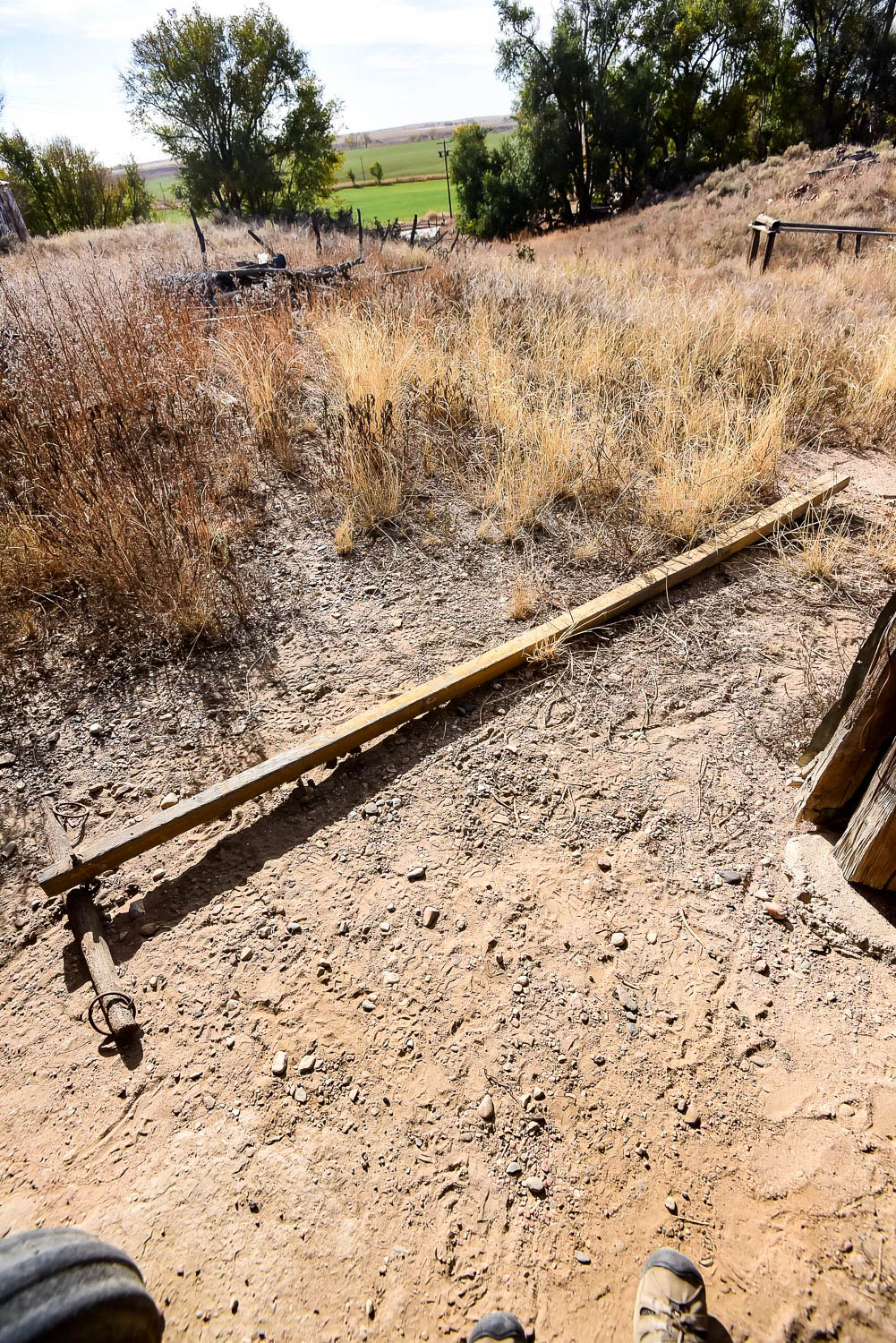 Antique Horse-Drawn Cart Tongue