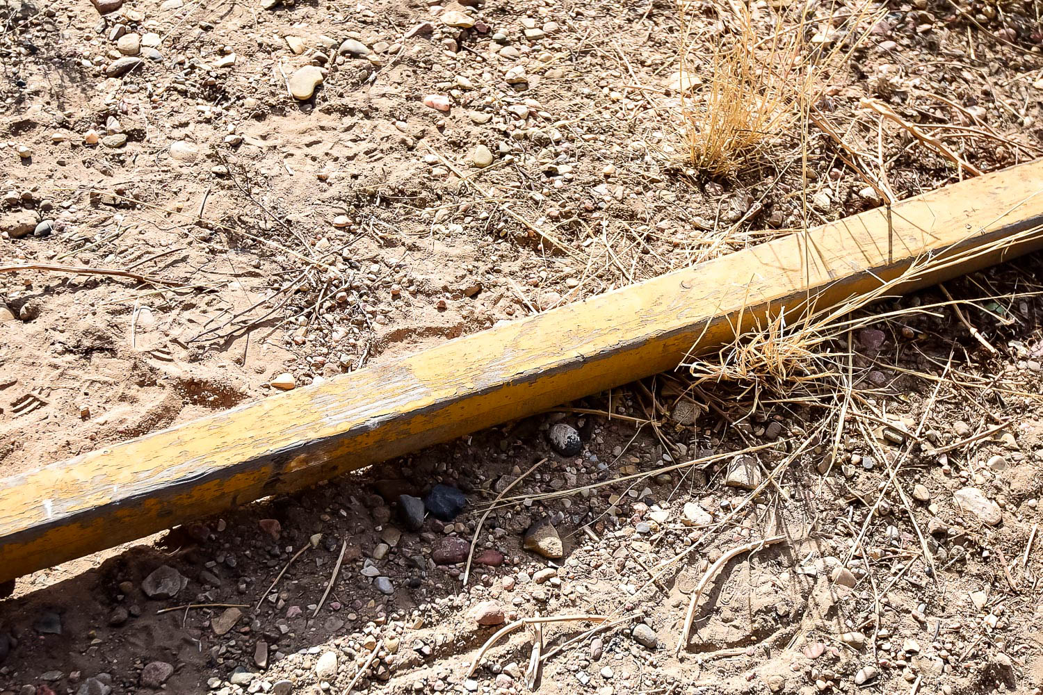 Antique Horse-Drawn Cart Tongue