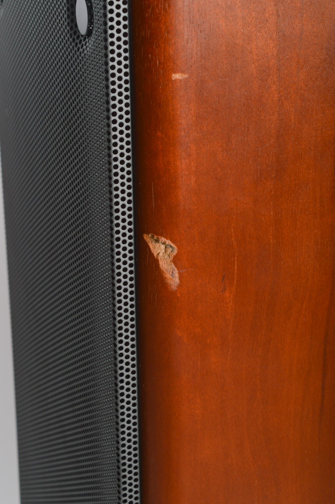 Epos Speakers With Metal Stands