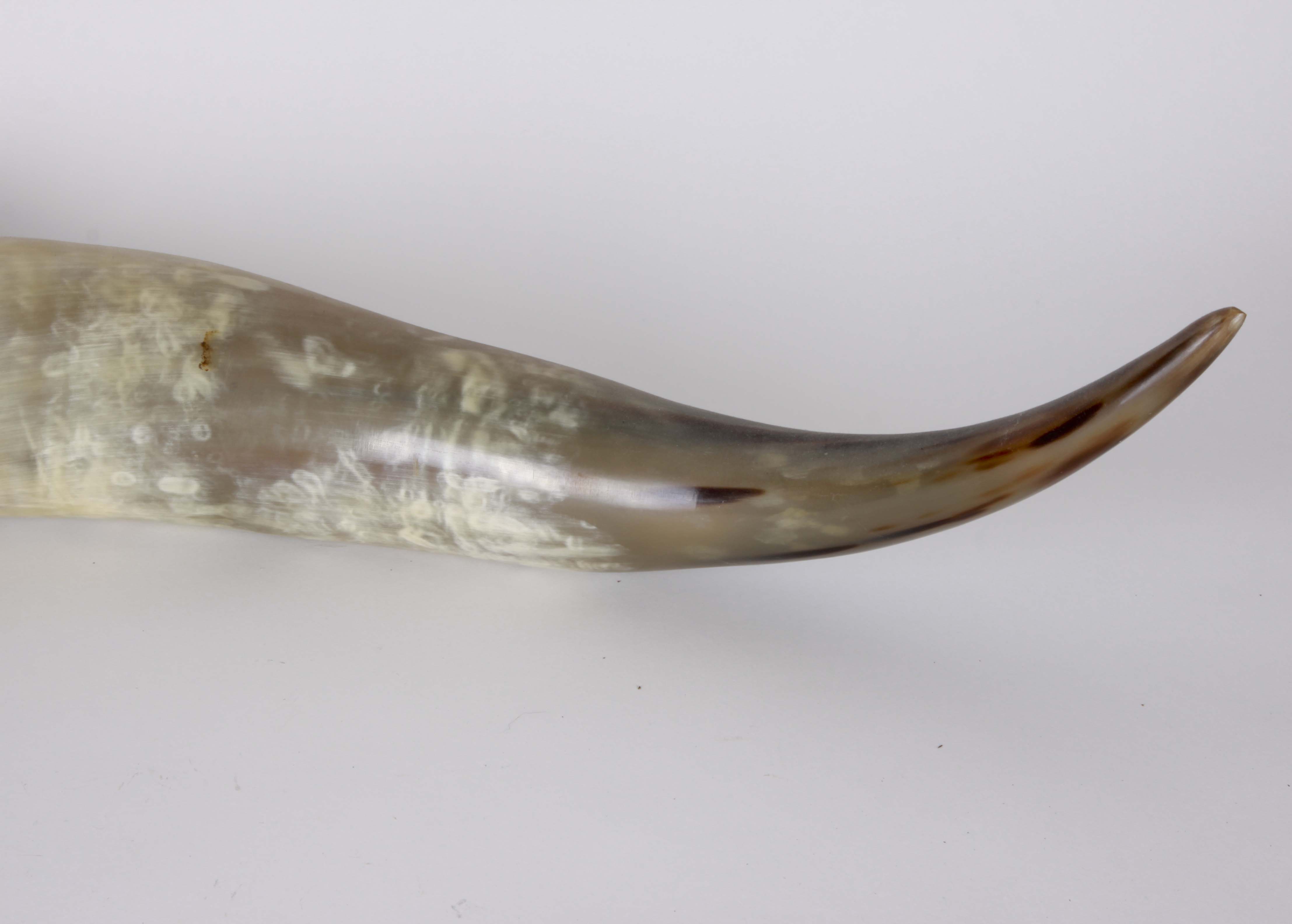 Genuine "Bevo Longhorns" Cotton Bowl Trophy